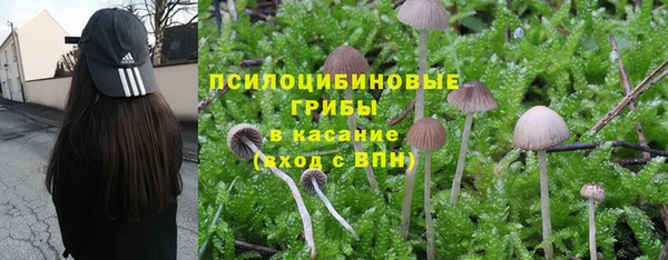трава Балахна