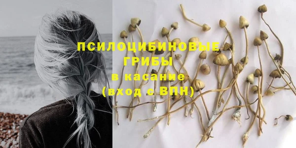 трава Балахна
