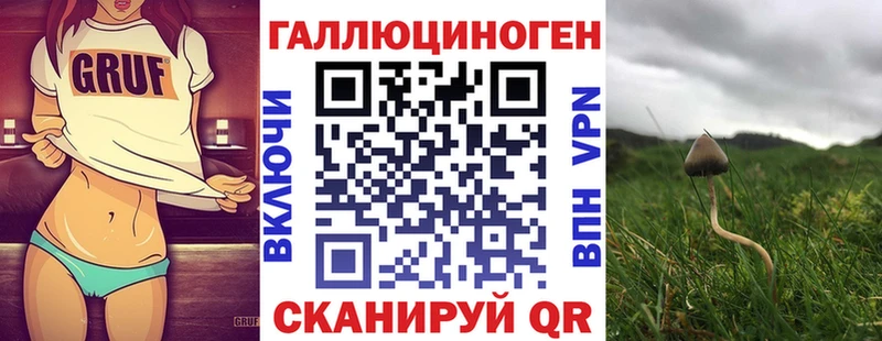 Псилоцибиновые грибы Magic Shrooms  Петров Вал 